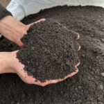 Земля с торфом