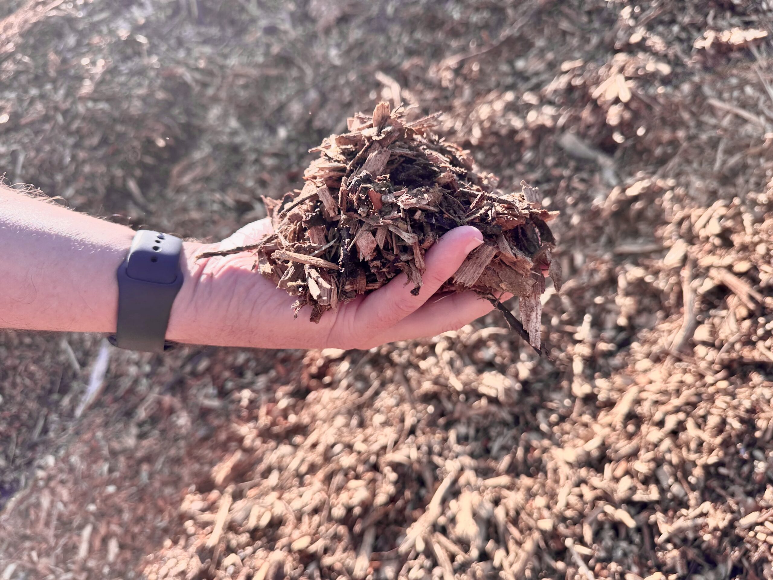 Multš puistes (1 m3)