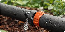 Капельный полив
